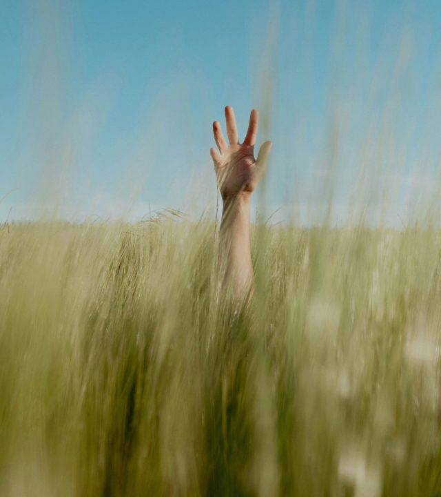 caner photo